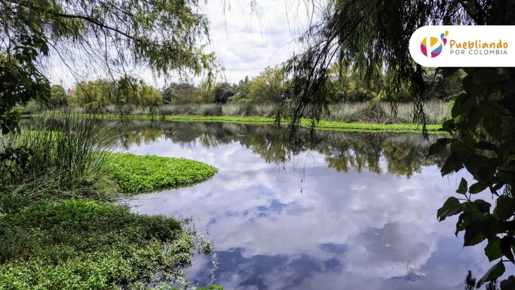 Picture 2 for Activity Bogotá Wetlands Sightseeing Tour 3