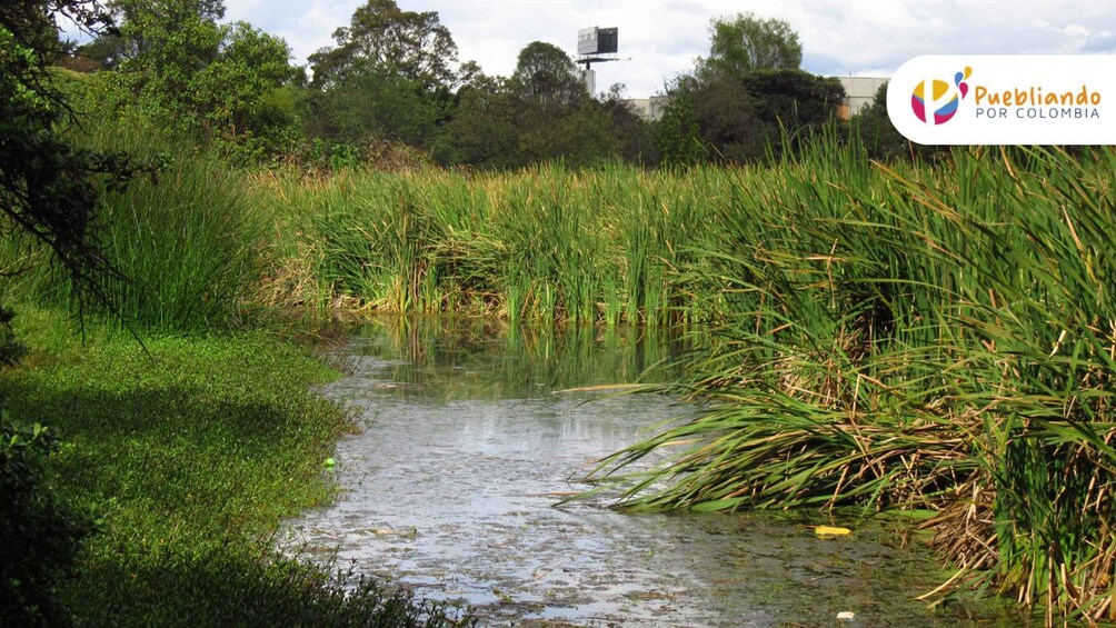 Picture 7 for Activity Bogotá Wetlands Sightseeing Tour 5