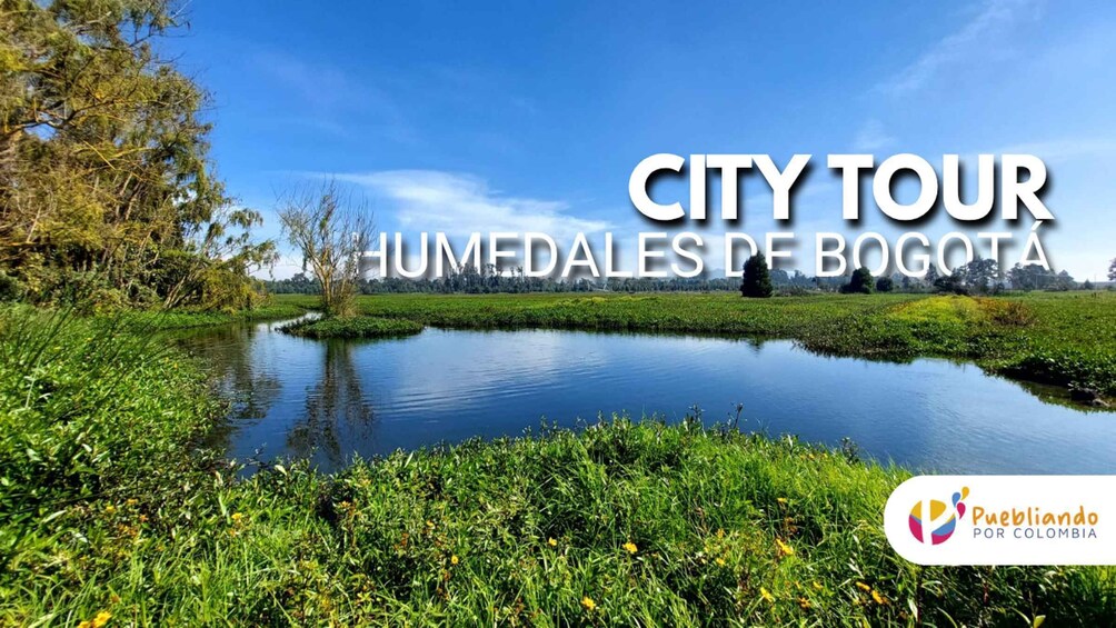 Bogotá Wetlands Sightseeing Tour 1