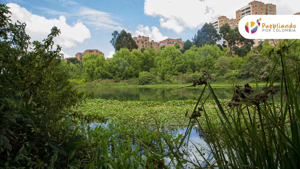 Picture 3 for Activity Bogotá Wetlands Sightseeing Tour 4