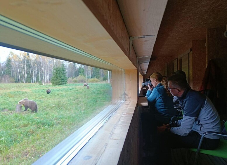 Picture 2 for Activity From Tallinn: 5-Day Wild Estonia Tour with Bear Watching 5