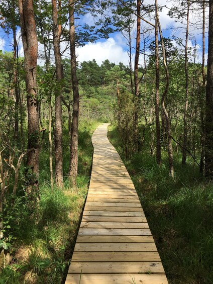 Picture 8 for Activity From Tallinn: 5-Day Wild Estonia Tour with Bear Watching 3