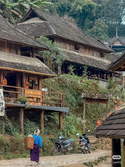 Pu'er: Jingmai Mountain Tea Forest & Village Tour 1