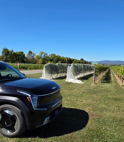A black vehicle parked on a grassy area with a vineyard in the background. 2