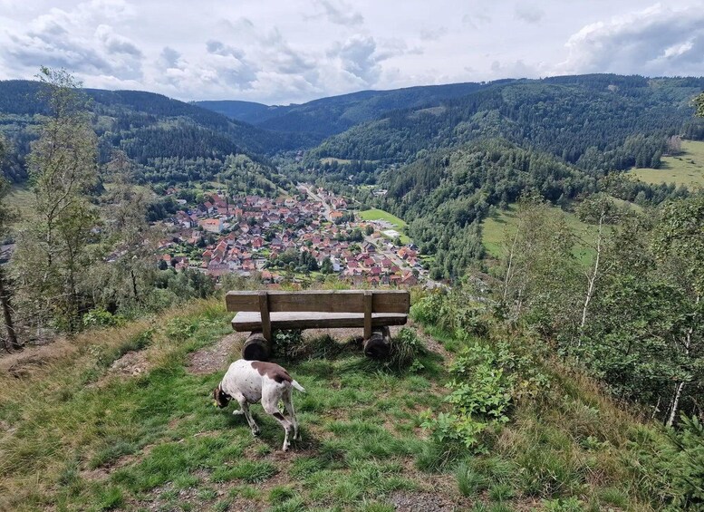 Picture 2 for Activity 4-Hour Hike to the Bielensteinkopf and Schäder 2