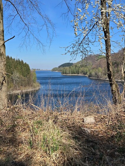 Picture 3 for Activity 4-Hour Hike to the Bielensteinkopf and Schäder 3