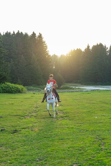 A person riding a white horse in a grassy field with trees in the background. 2