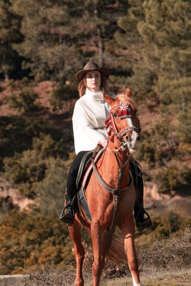 Linares: Horseback Riding Adventure with Picnic Lunch 1
