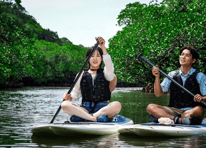 Picture 9 for Activity Ishigaki Okinawa: River Mangrove Forest Kayak or SUP Tour 3
