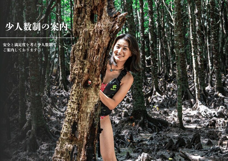 Picture 8 for Activity Ishigaki Okinawa: River Mangrove Forest Kayak or SUP Tour 4
