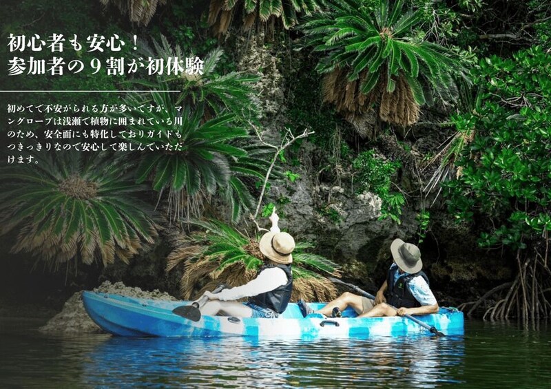 Picture 6 for Activity Ishigaki Okinawa: River Mangrove Forest Kayak or SUP Tour 2