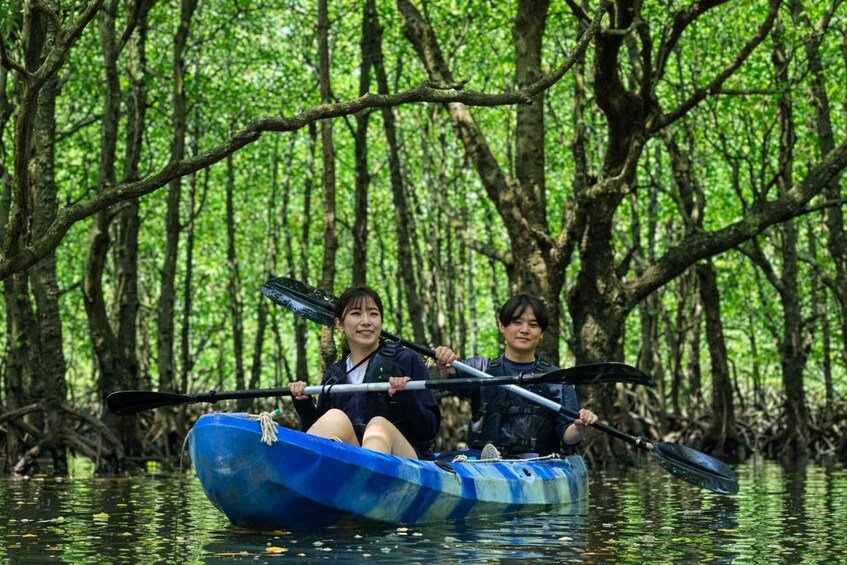 Ishigaki Okinawa: River Mangrove Forest Kayak or SUP Tour 1