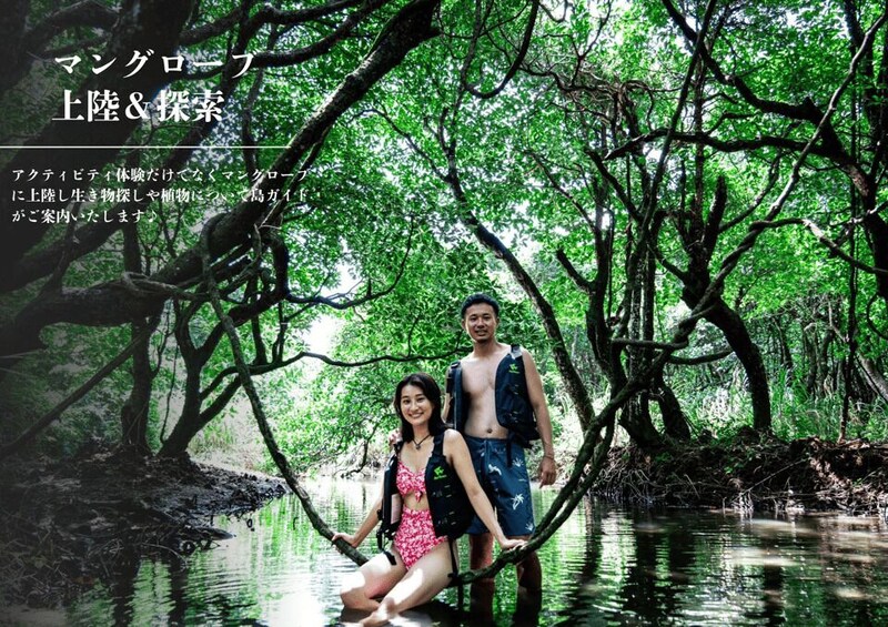 Picture 5 for Activity Ishigaki Okinawa: River Mangrove Forest Kayak or SUP Tour 5