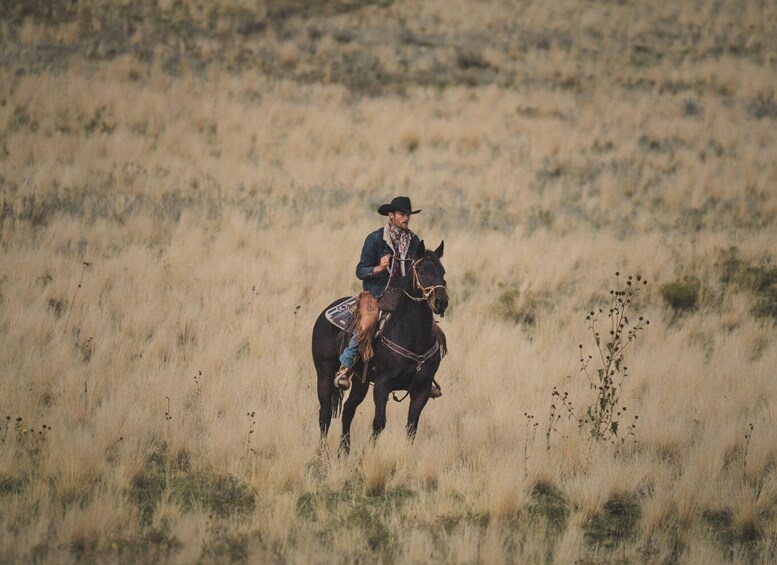 Picture 3 for Activity Marvão: Guided Horseback Adventure in Nature 3
