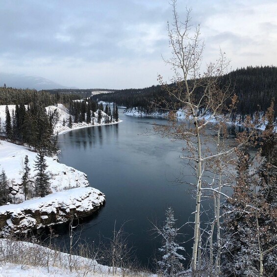 A snow-covered river winding through a forest with a mountain in the background. 2