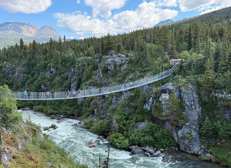 A suspension bridge over a river surrounded by dense forest and mountains. 1