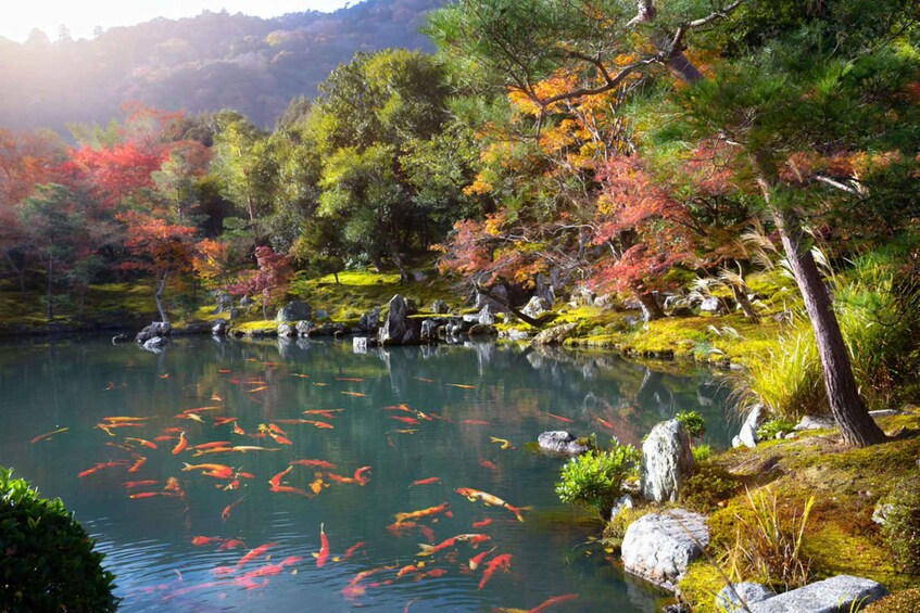 A serene pond with koi fish, surrounded by autumn-colored trees and rocks. 4