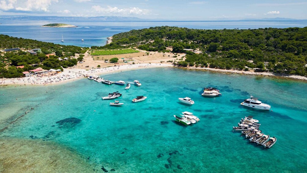 Private Boat Tour from Hvar:Blue Cave & Pakleni Islands 1