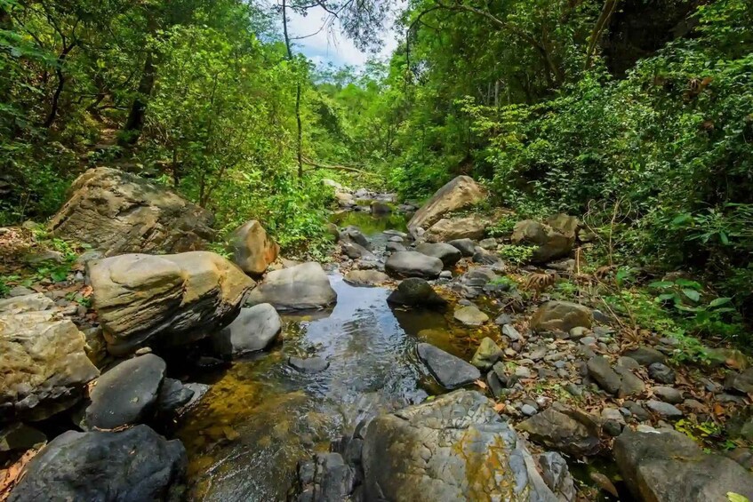 Picture 2 for Activity From Tumbes: Cerros de Amotape National Park and Waterfalls 2