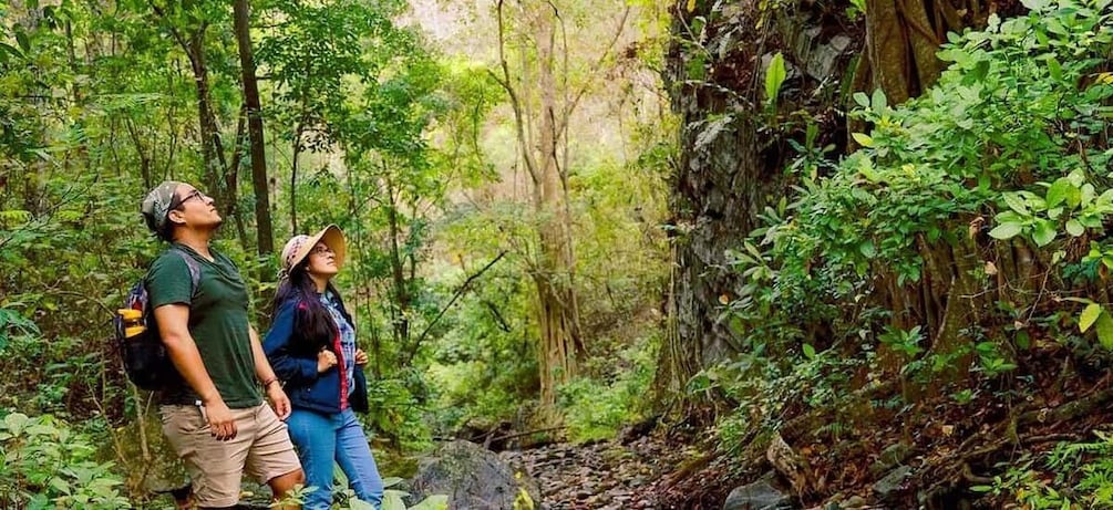 From Tumbes: Cerros de Amotape National Park and Waterfalls 1