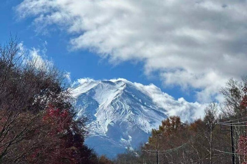 Private Mount Fuji Scenic Tour from Tokyo 3