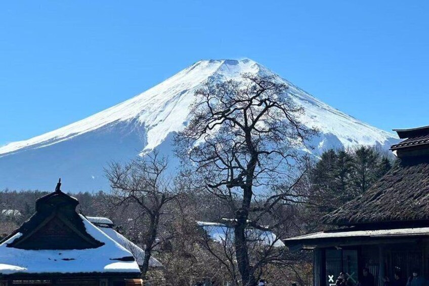 Private Mount Fuji Scenic Tour from Tokyo 1