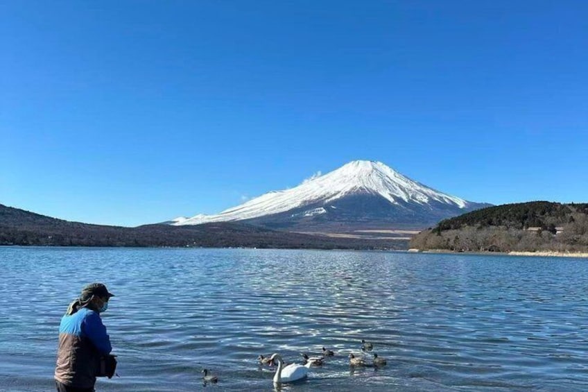 Private Mount Fuji Scenic Tour from Tokyo 4