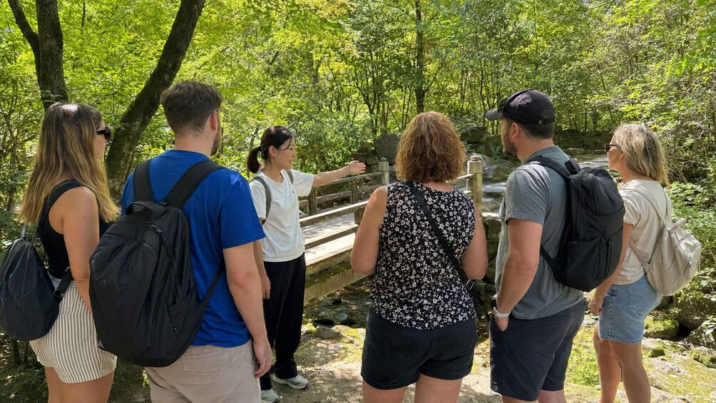 Picture 21 for Activity Hiroshima: Miyajima Private Walk with Hidden Spots & Photos 3