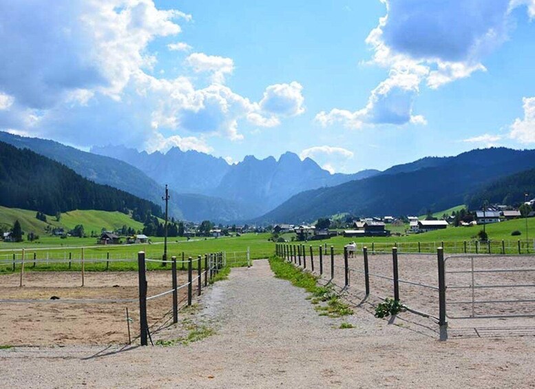 Picture 4 for Activity From Hallstatt: Scenic Gosau Horseback Experience 5