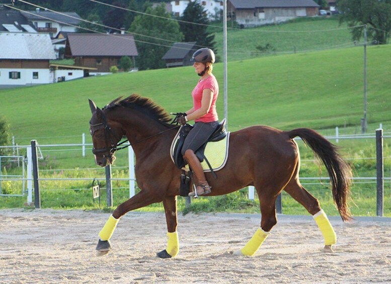 Picture 2 for Activity From Hallstatt: Scenic Gosau Horseback Experience 2
