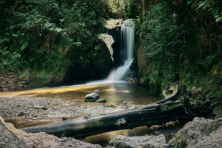 Black Forest and Baden Baden Full Day Tour 3