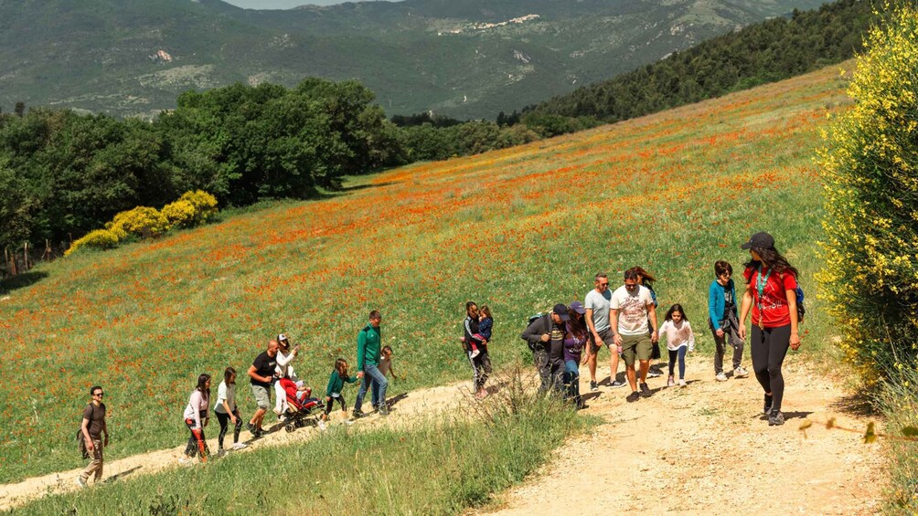 Picture 4 for Activity Abruzzo: Guided visit of the Wolf Visitor Center in Popoli Terme 3