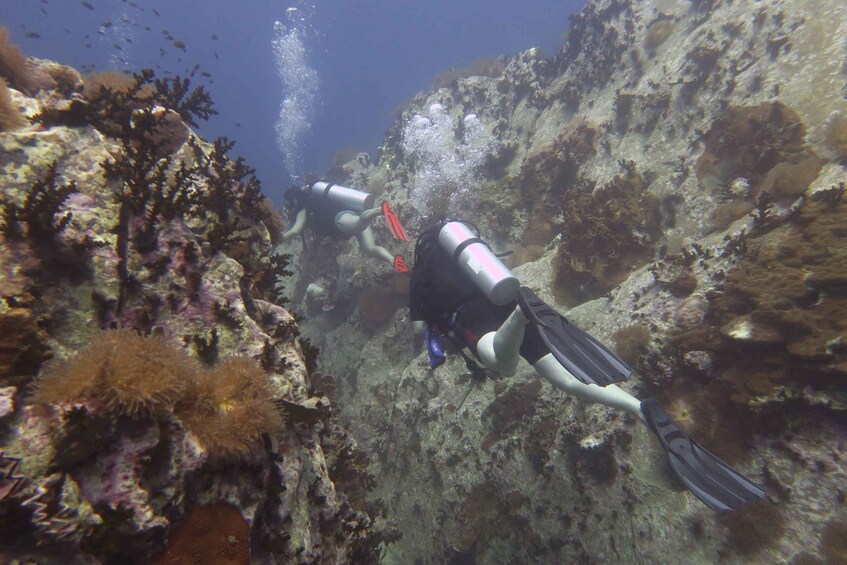 Picture 1 for Activity The Divers Boat Koh Tao: SSI Open Water Diving Certificate (2 Days) 3