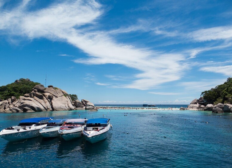 Picture 3 for Activity The Divers Boat Koh Tao: SSI Open Water Diving Certificate (2 Days) 2