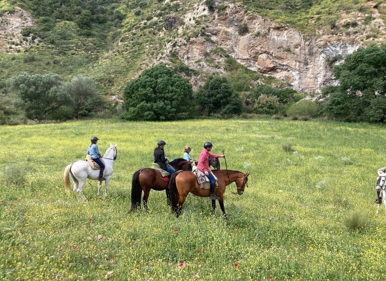 Picture 1 for Activity Langley: Scenic Valley Guided Horseback Ride 3