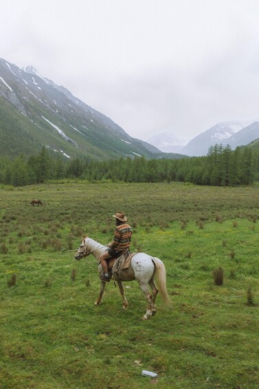 Picture 3 for Activity Langley: Scenic Valley Guided Horseback Ride 2