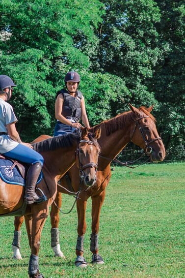 Langley: Scenic Valley Guided Horseback Ride 1
