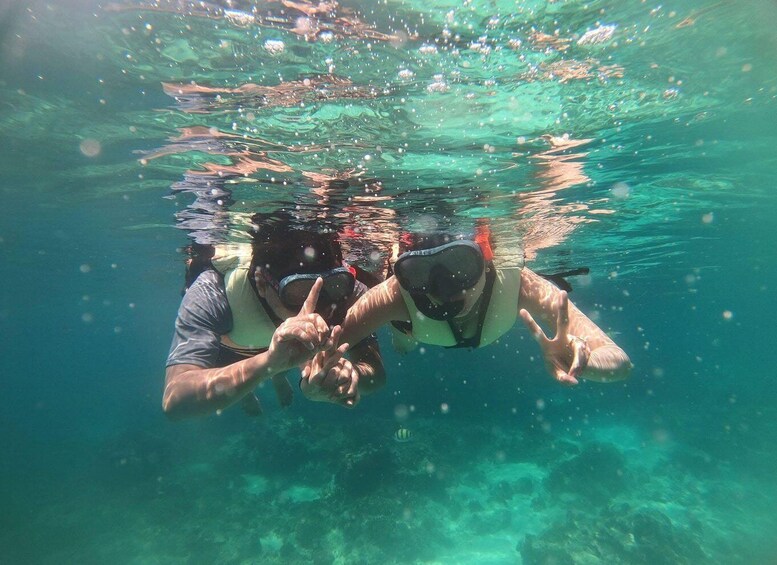 Two people snorkeling underwater, pointing at something. 5