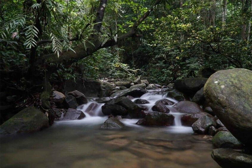Picture 2 for Activity Selangor: Guided Gunung Nuang Hike with Permit 3