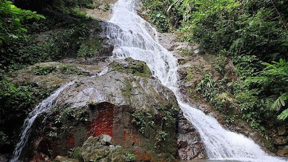 Picture 3 for Activity Selangor: Guided Gunung Nuang Hike with Permit 2