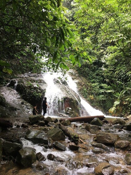 Selangor: Guided Gunung Nuang Hike with Permit 1