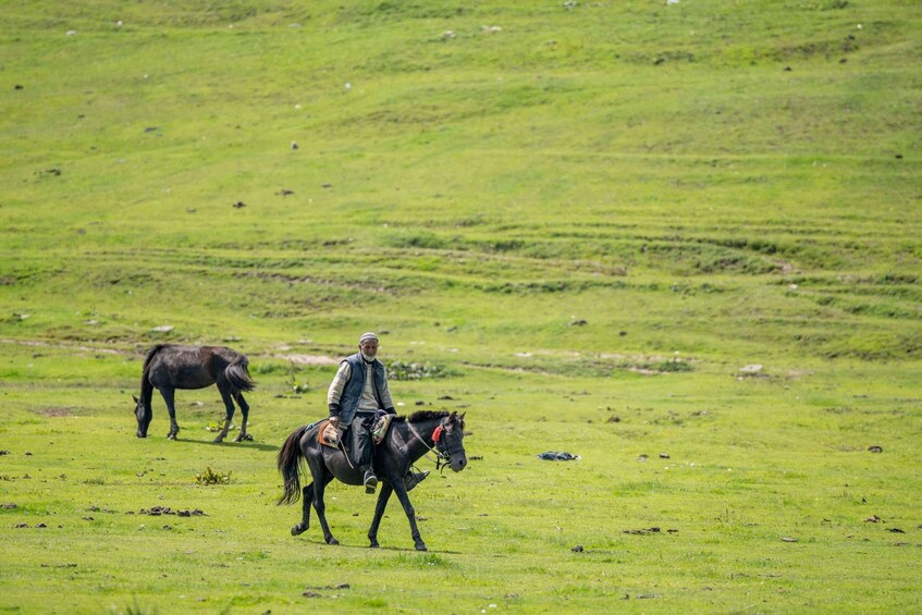 Picture 2 for Activity Northern Ireland: Horseback Riding Tour with Afternoon Tea 5