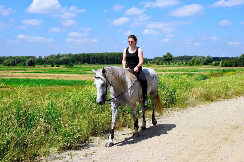 Picture 1 for Activity Northern Ireland: Horseback Riding Tour with Afternoon Tea 4