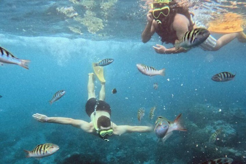 A person snorkeling underwater with fish. 2