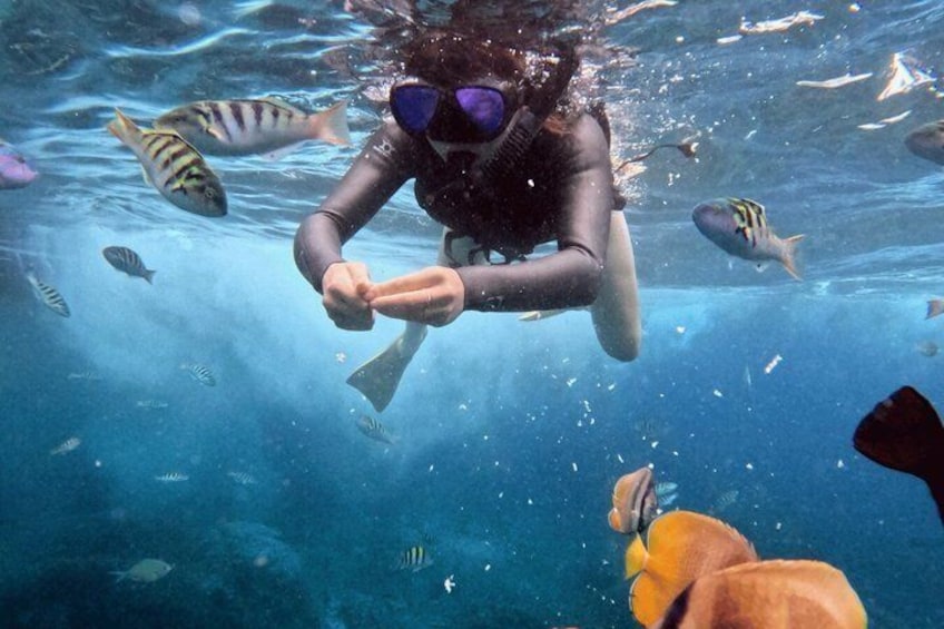 A person scuba diving with fish around. 1