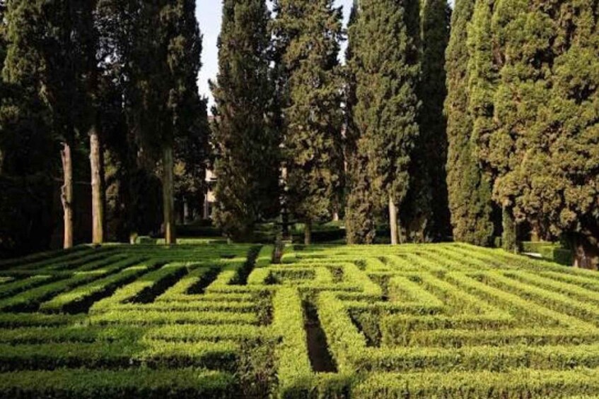 Picture 1 for Activity Guided tour of Giardino Giusti: the secret Renaissance of Verona 2