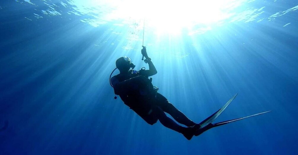 Le Port: Guided Scuba Dive for Certified Divers with Gear 1