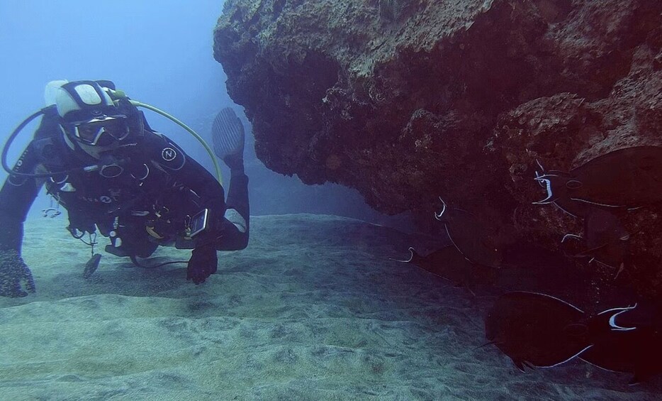 Picture 2 for Activity Le Port: Guided Scuba Dive for Certified Divers with Gear 1