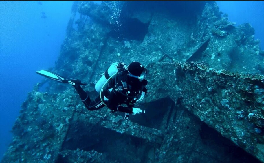 Picture 3 for Activity Le Port: Guided Scuba Dive for Certified Divers with Gear 3
