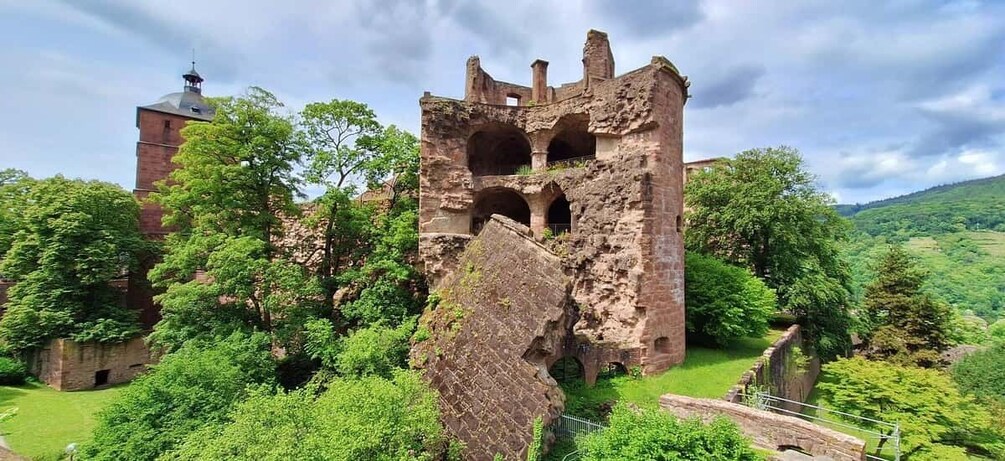 Picture 4 for Activity Heidelberg: Sundowner Tour with Castle, Königstuhl Panorama & Wine 5